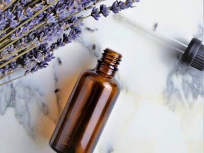 Winter 2025/26 – Die Quintessenz der Pflanze