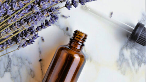 Die Quintessenz der Pflanze