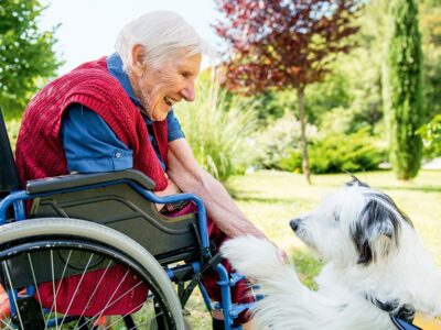 Frühling 2026 – Ein tierischer Therapeut