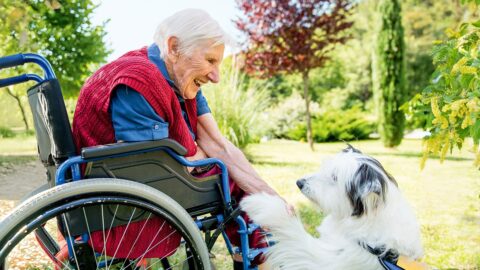 Ein tierischer Therapeut